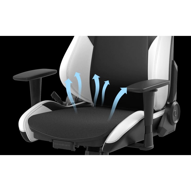 خرید صندلی DXRacer Prince 2025 - سیاه/سفید