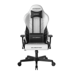 خرید صندلی گیمینگ DXRacer سری گلادیاتور - سفید ۲۰۲۲