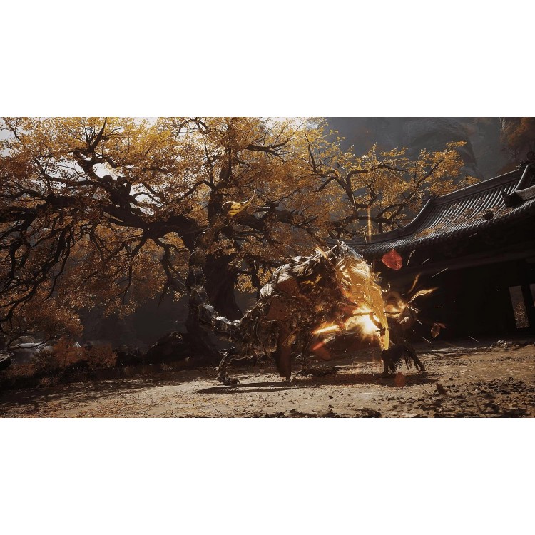خرید بازی Black Myth: Wukong برای PS5