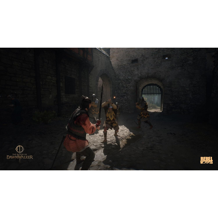 خرید بازی The Blood of Dawnwalker نسخه Day 1 برای PS5 کارکرده