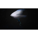 خرید بازی Endless Ocean Luminous برای نینتندو سوییچ