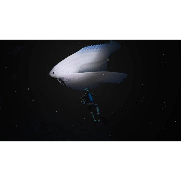 خرید بازی Endless Ocean Luminous برای نینتندو سوییچ