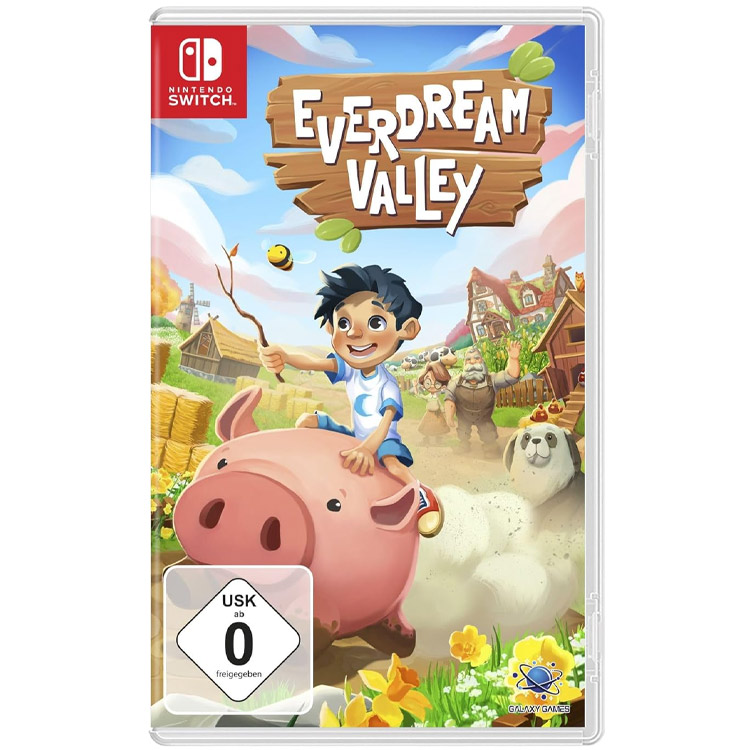 خرید بازی Everdream Valley برای نینتندو سوییچ