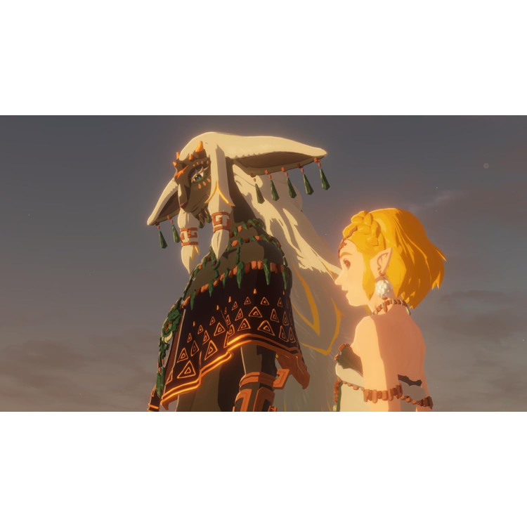 خرید بازی Hyrule Warriors: Age of Imprisonment برای نینتندو سوییچ 2 خرید بازی Hyrule Warriors: Age of Imprisonment برای نینتندو سوییچ 2