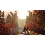 خرید بازی Life is Strange 2 برای PS4 کارکرده