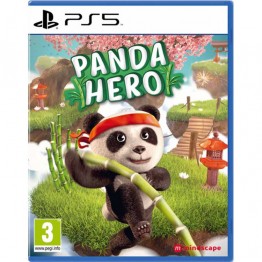 Panda Hero - PS5 کارکرده