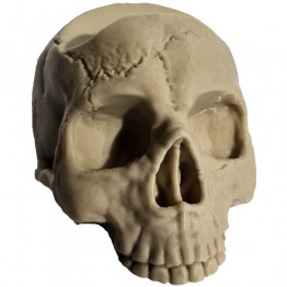 Gallery Rosan Game Pad Stand - Skull - White