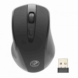 XP-W450D Wireless Mouse موس