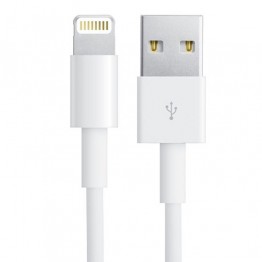 iPhone Lightning Cable - fake