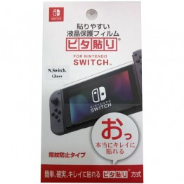 Nintendo Switch Glass