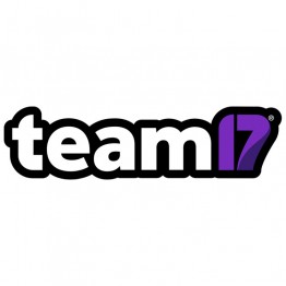 team 17