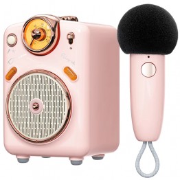 Divoom Fairy-OK Portable Karaoke Set - Pink