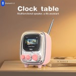 خرید اسپیکر Divoom Tiivoo-2 - بی‌سیم - صورتی کم‌رنگ