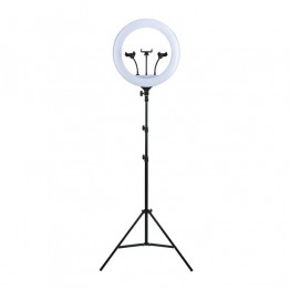 YQ-640 Ring Light with Stand