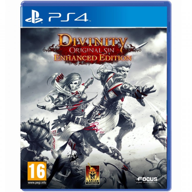 Divinity Original Sin  - PS4 