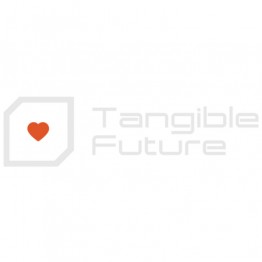 Tangible Future