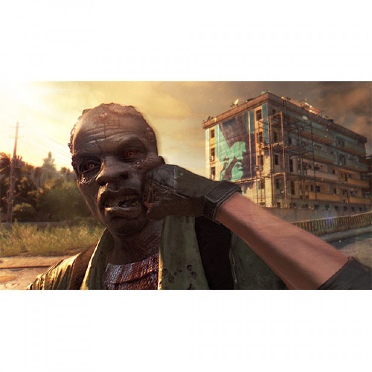 Dying Light The Following - PS4 