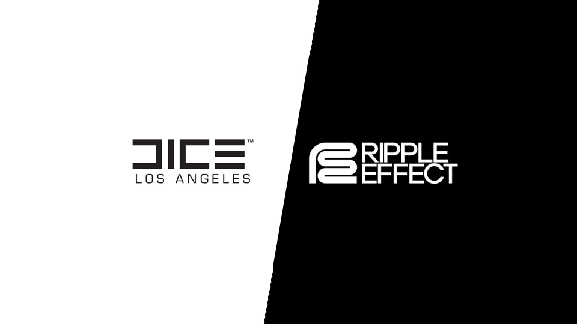 استودیو DICE LA پس از تغییر نام، ساخت پروژه جدیدی را آغاز کرد