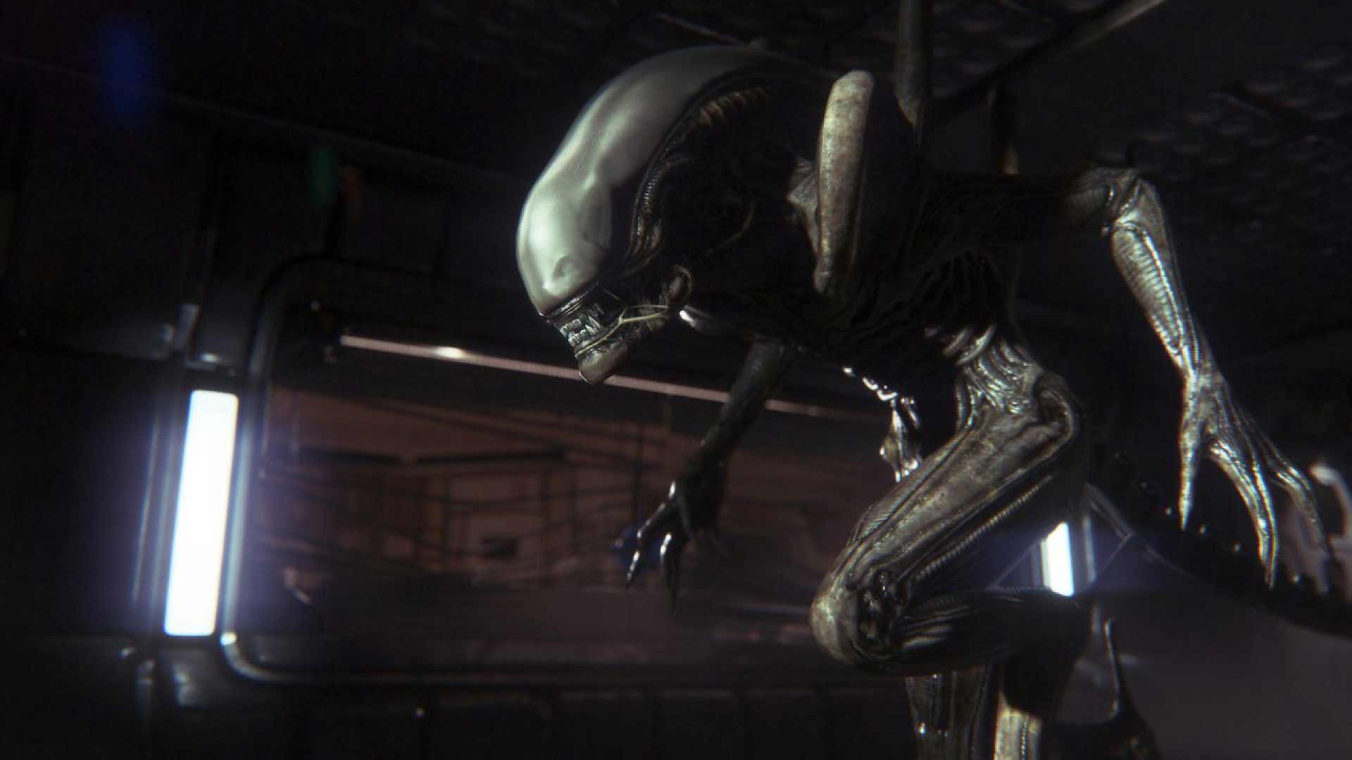 بازی جدید مجموعه Alien در حال توسعه است